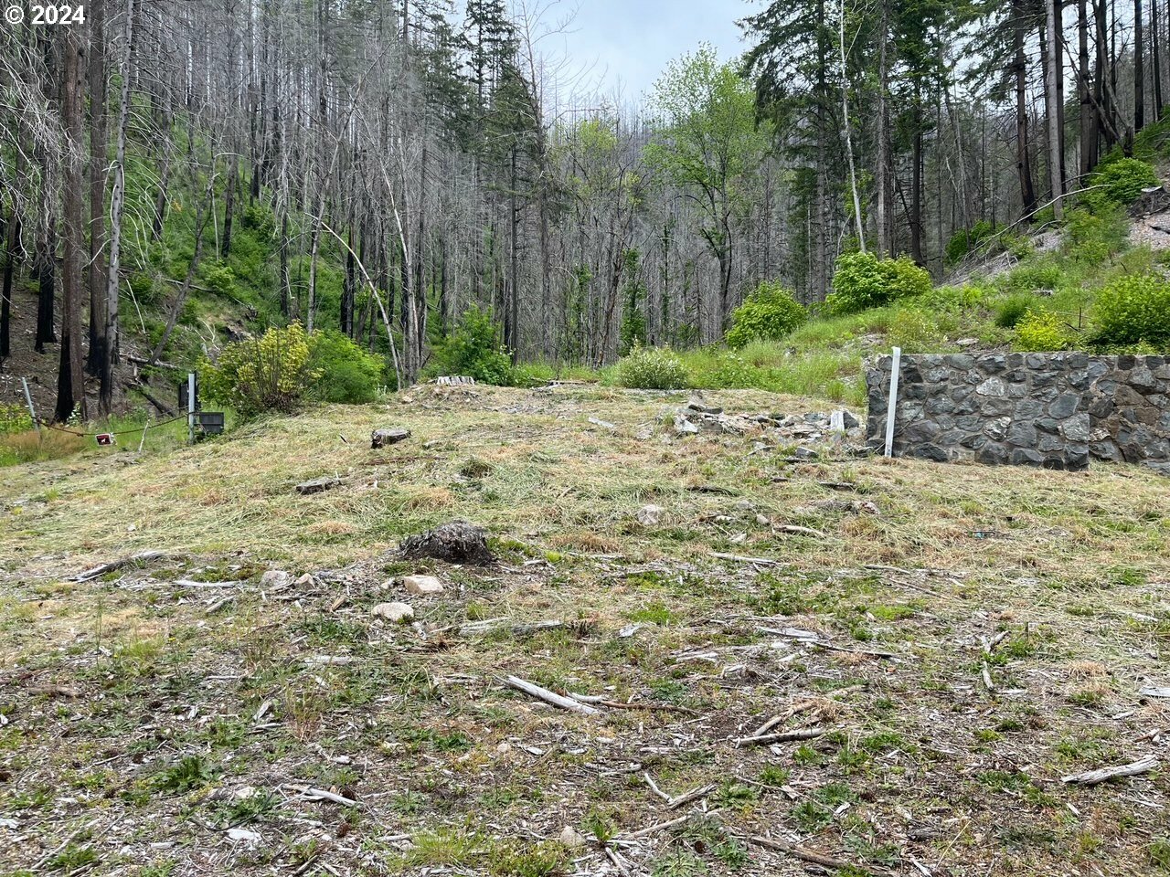 Property Photo:  47983 McKenzie Hwy  OR 97488 