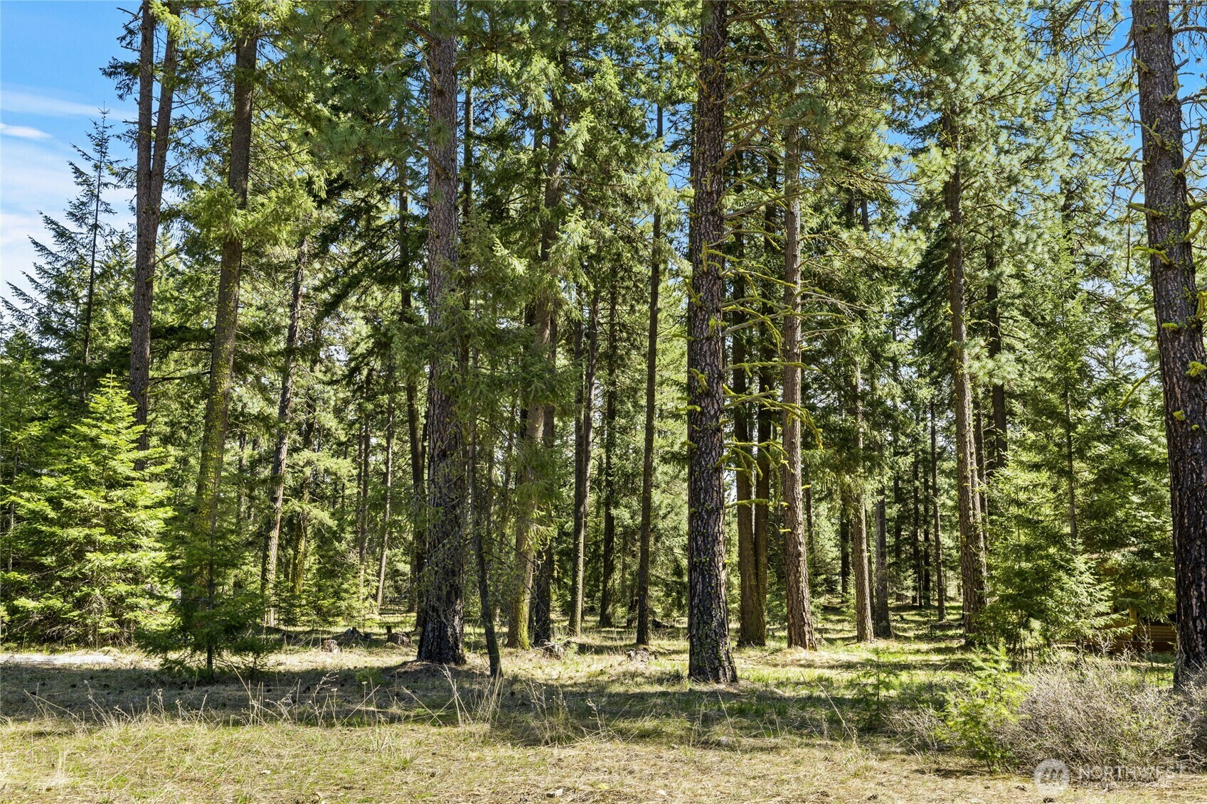 Property Photo: 871 Larkspur Loop WA 98922