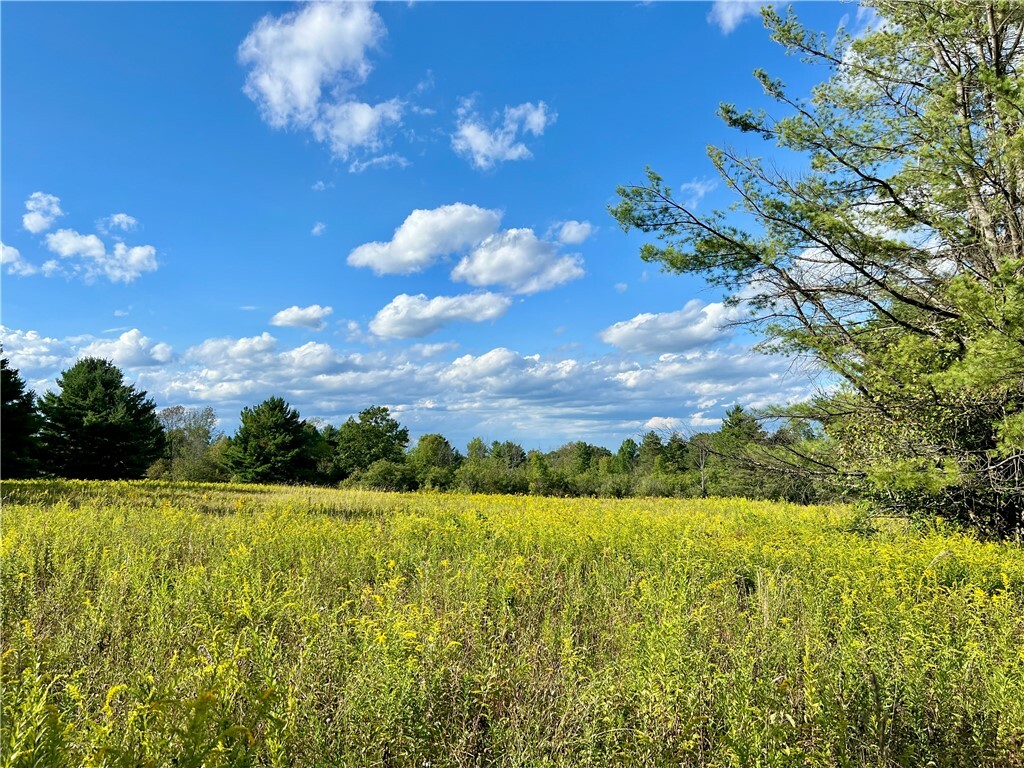 Property Photo:  0 Nelson Road  NY 14850 