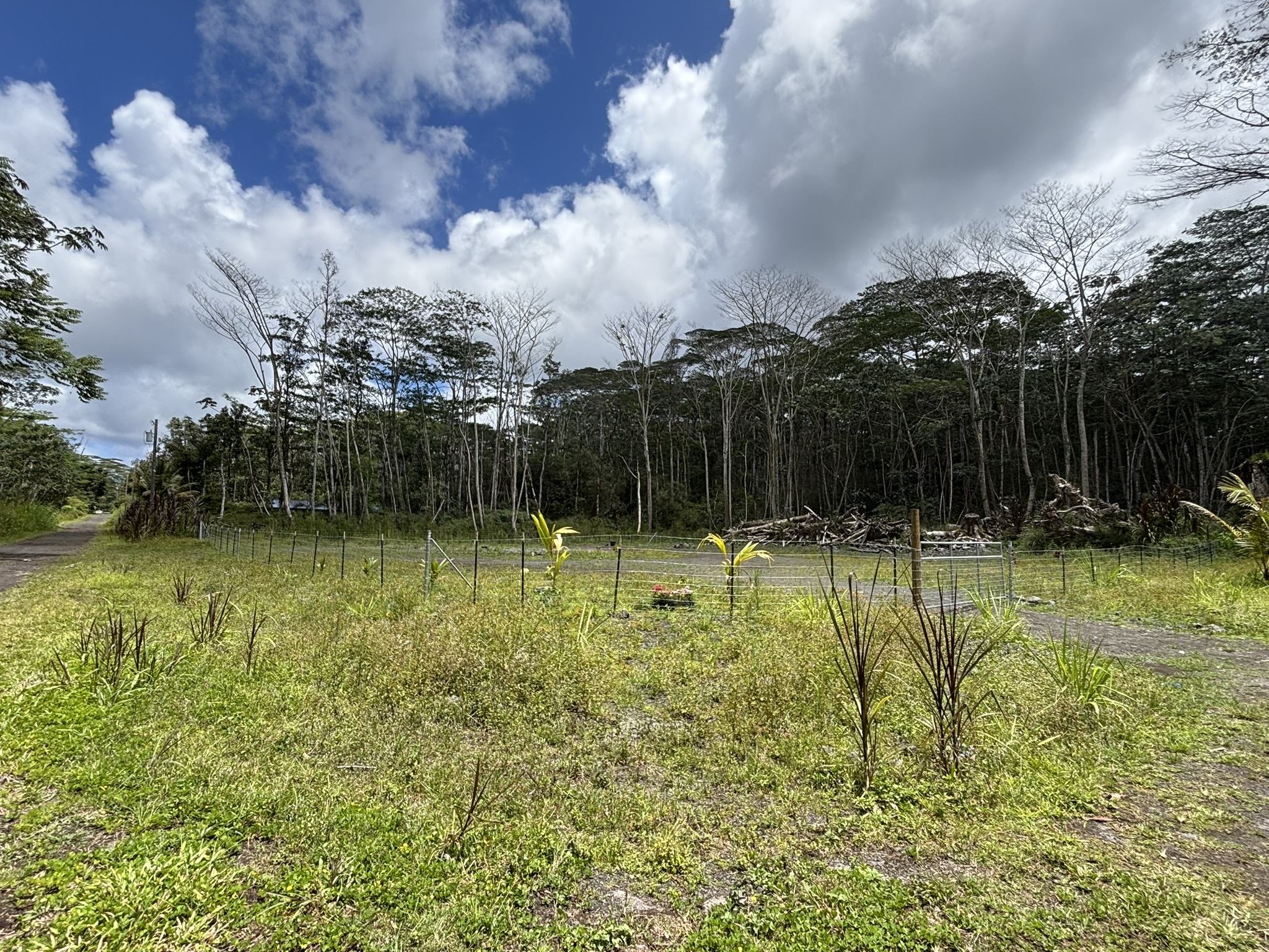 Property Photo:  Lehua Rd  HI 96778 
