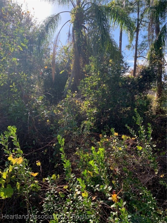 Property Photo: 365 Bottlebrush Avenue FL 33852