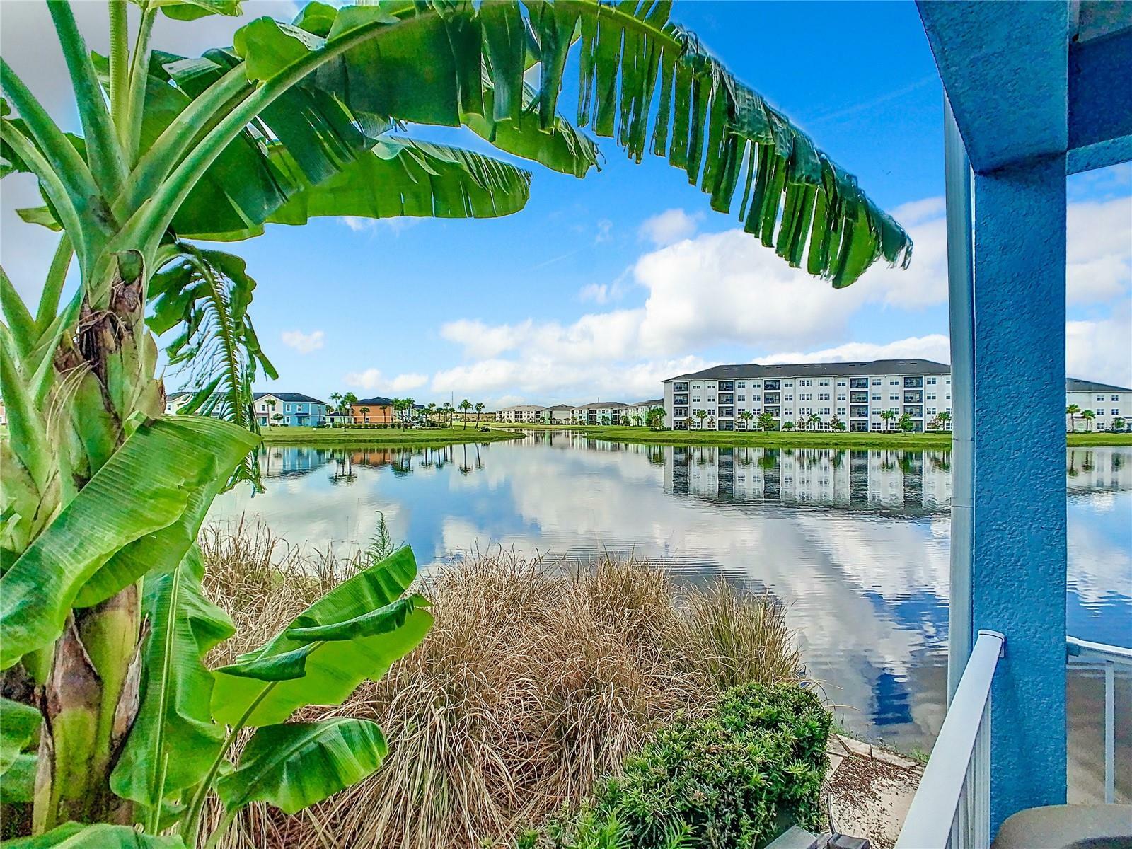 Property Photo:  8133 Surf Street  FL 34747 