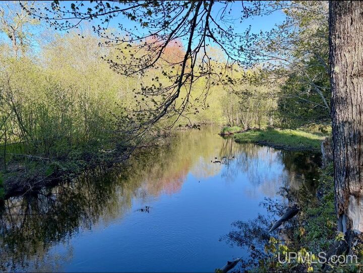 Property Photo:  94 +/- Acres Peter White Road  MI 49822 