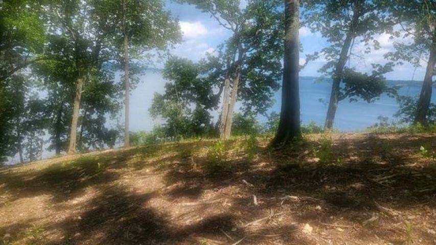 Property Photo: 140 Highland Cove AL 35630 - FLORENCE