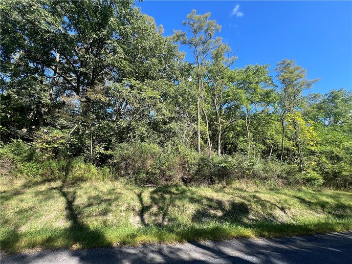 Property Photo:  00 Wicks Road  NY 14865 