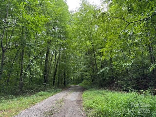 Property Photo: 000 Orchard Mountain Road NC 28773