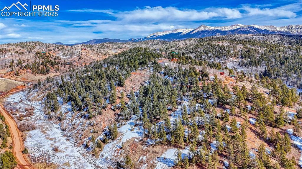 Property Photo: 626 Little Topsey Drive CO 80813