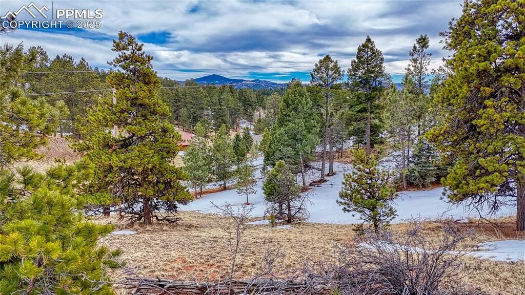 Property Photo: 54 Southgate Road CO 80816