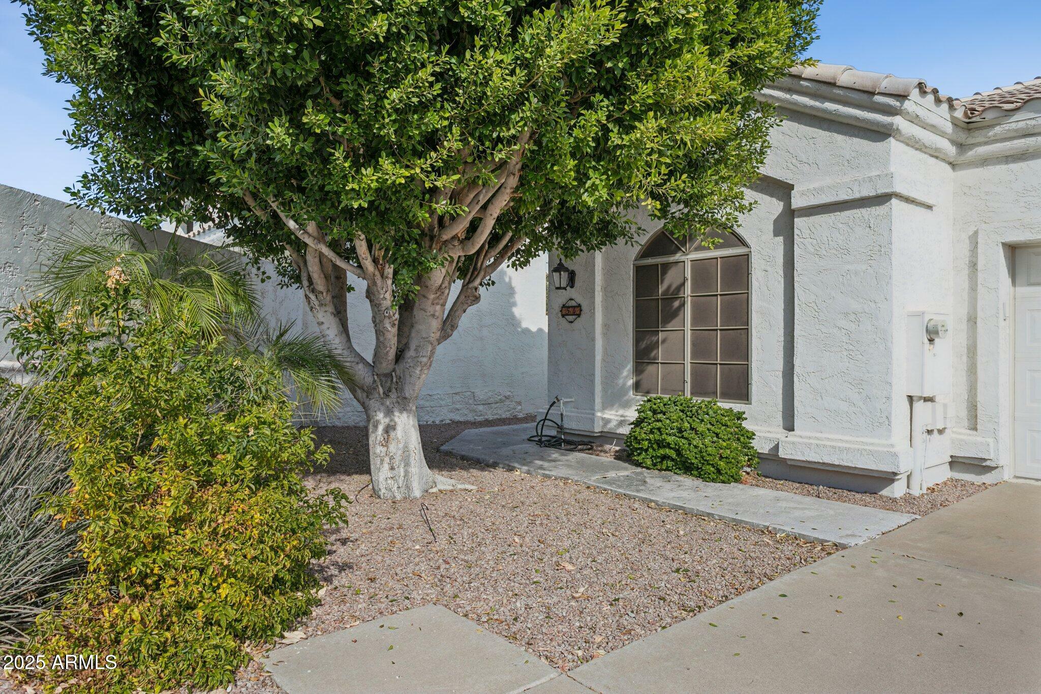 320 S 70th Street 54  Mesa AZ 85208 photo