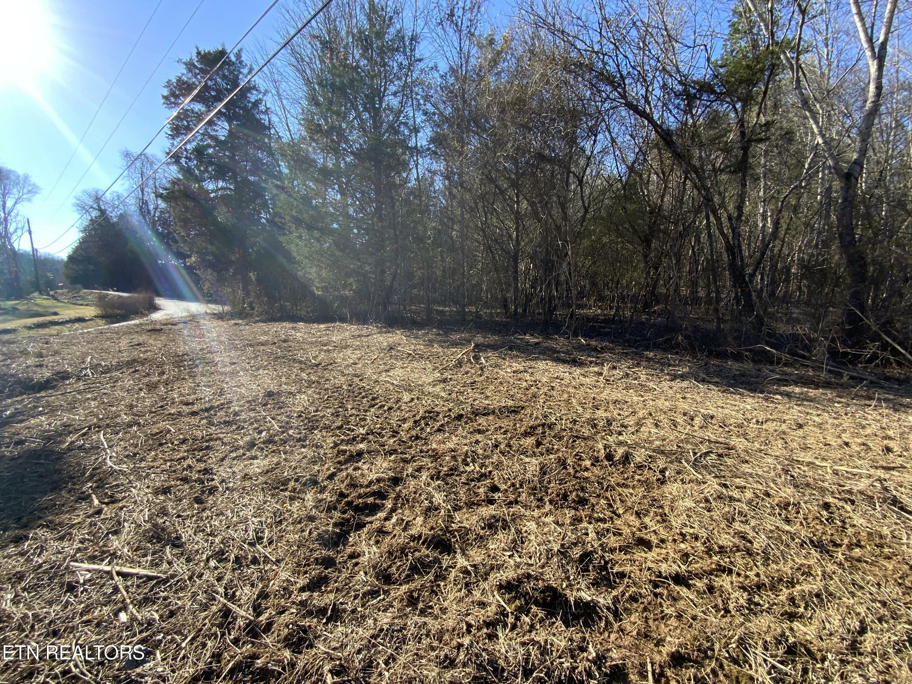 Property Photo:  Lot 1 McCarter Hollow Rd.  TN 37862 