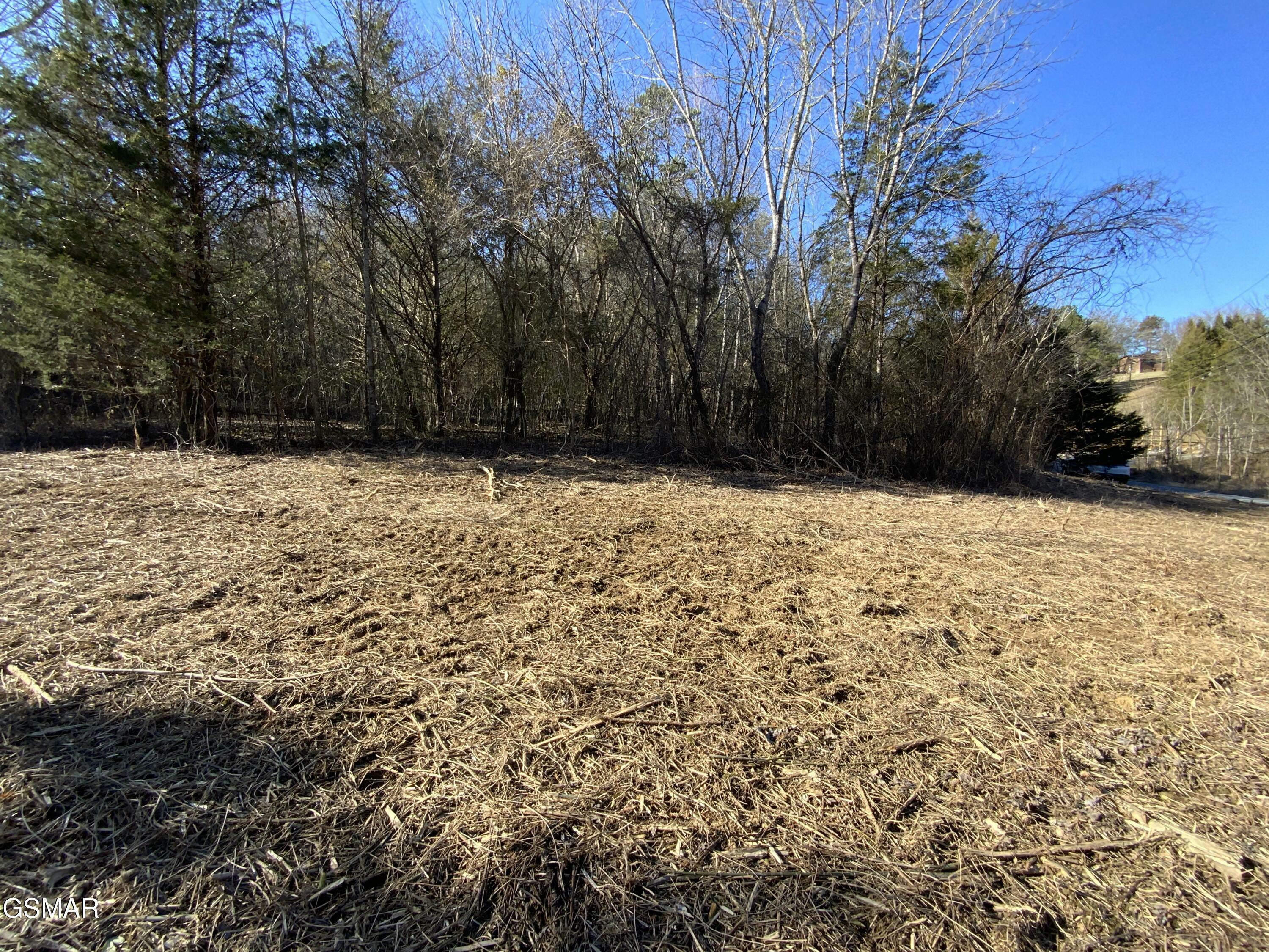 Property Photo:  Lot 1 McCarter Hollow Road  TN 37862 