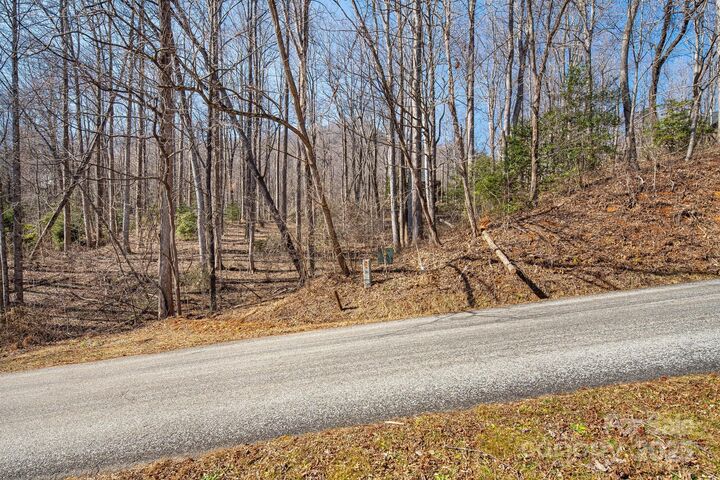 Property Photo:  000 Blue Ridge Drive N 164  NC 28752 