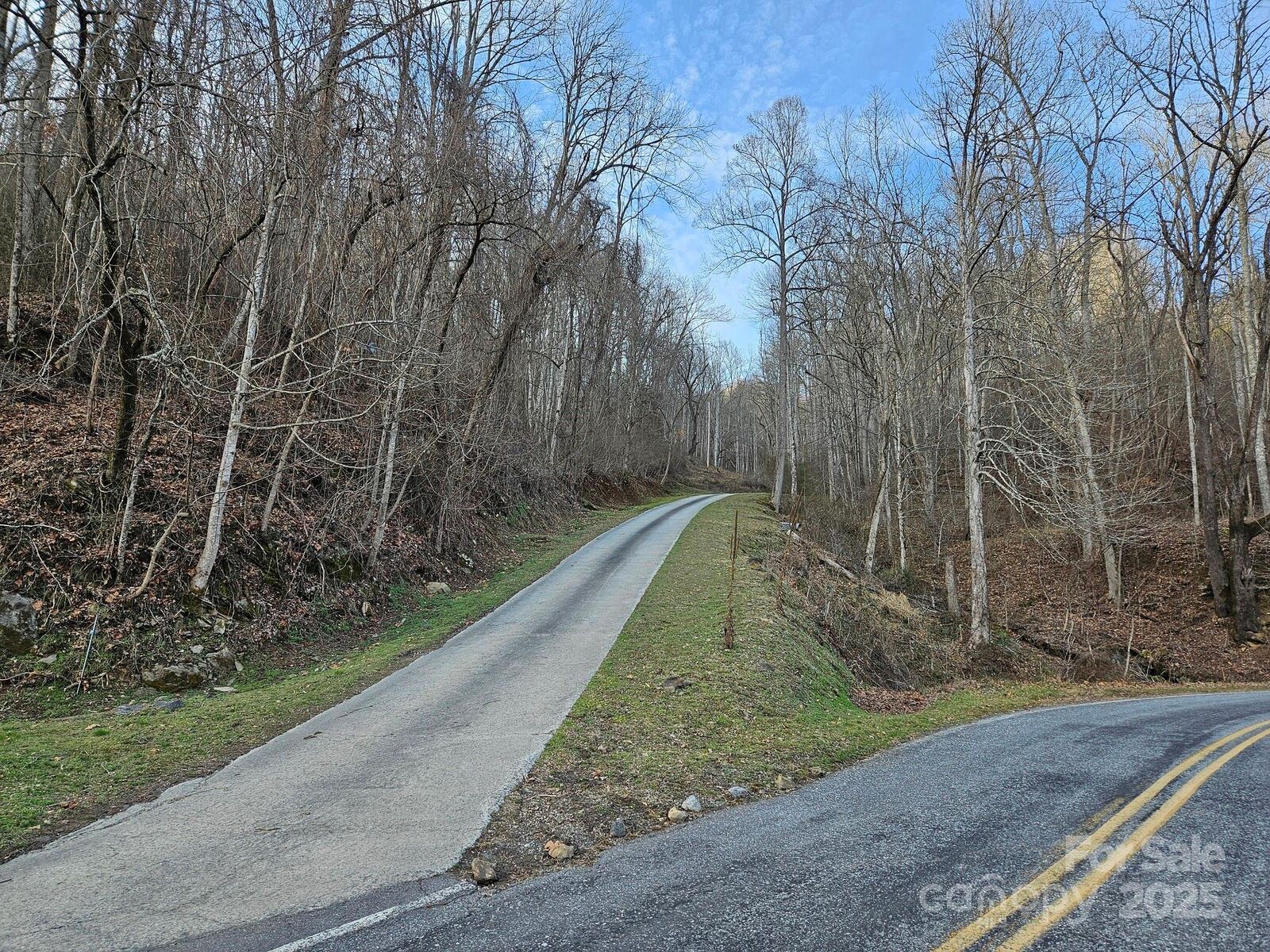 Property Photo:  80 Choke Berry Ridge  NC 28779 