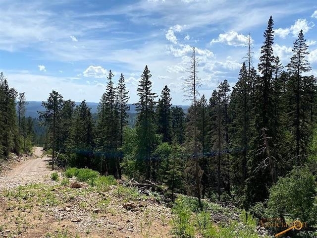 Property Photo:  Lot 25 Blue Sky Loop  SD 57754 