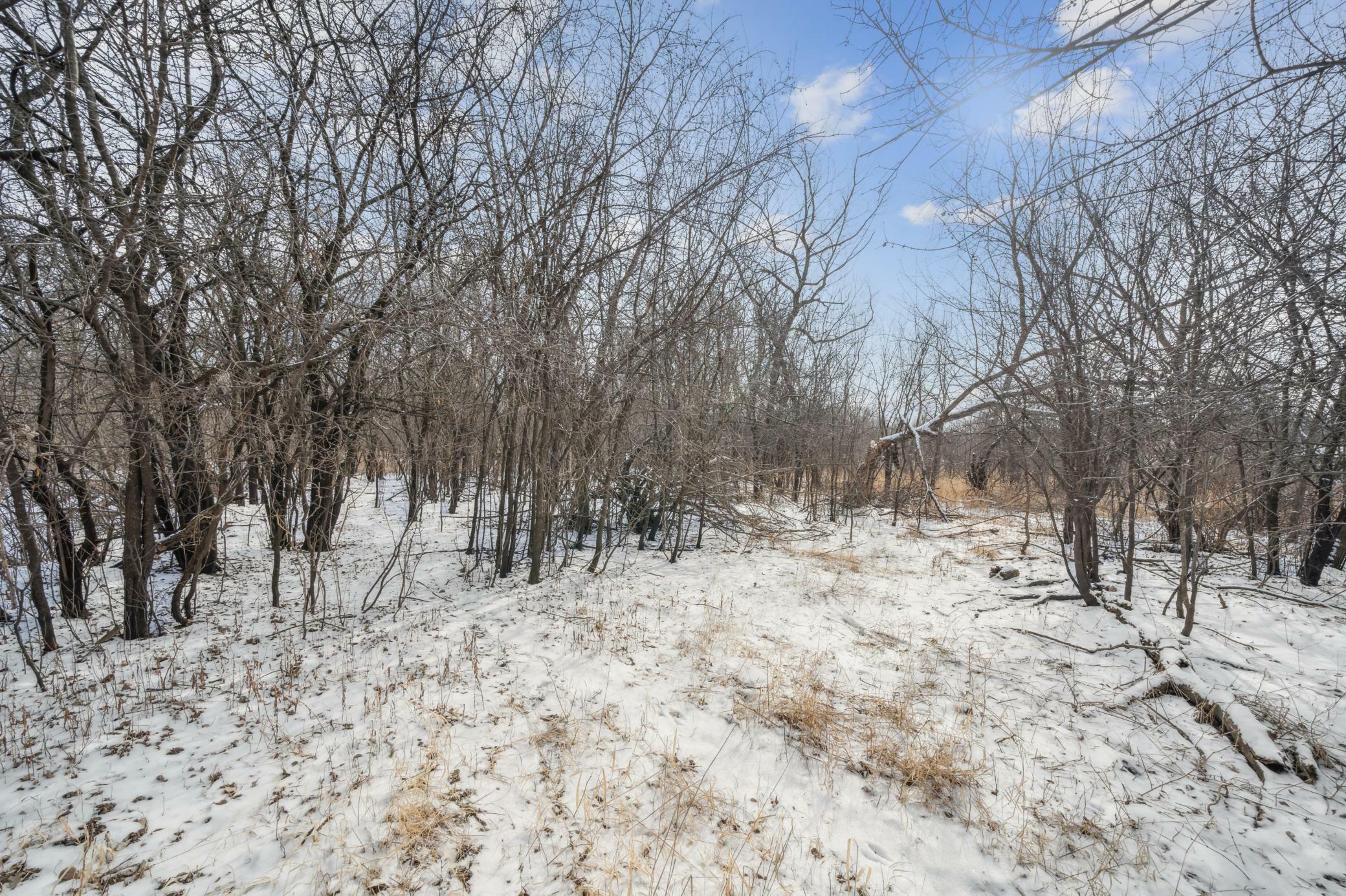 Property Photo:  Xxxx Pinewood Road SE  MN 55904 