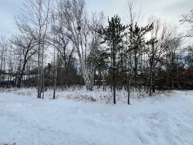 Property Photo: Lot 9 Honeysuckle Way MN 56425