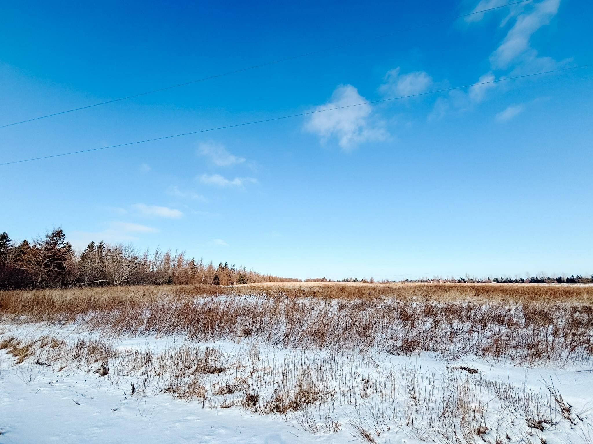 Property Photo: Acreage Cape Bear Road PE C0A 1W0