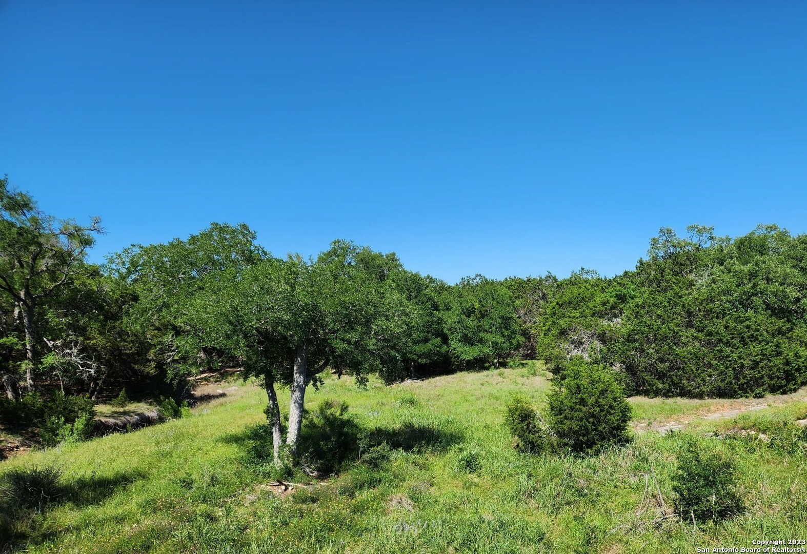 5051 Fm 1863  Bulverde TX 78163 photo