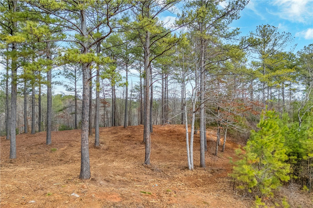 Property Photo:  321 Golden Bear Drive  SC 29685 