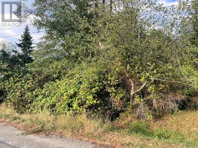 Property Photo:  Lot 3 Cedar Street  BC  