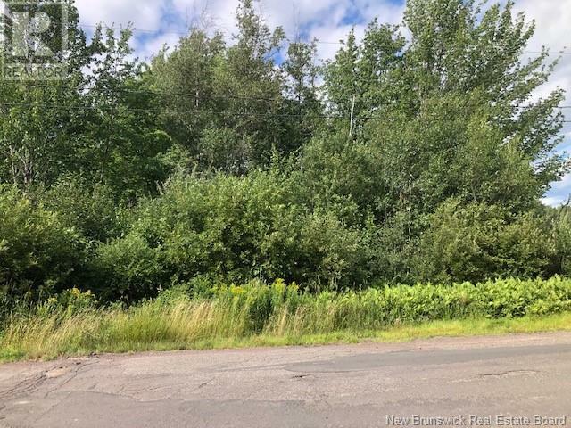 Property Photo:  890 Rue Des Dallaires  NB E4S 1S8 