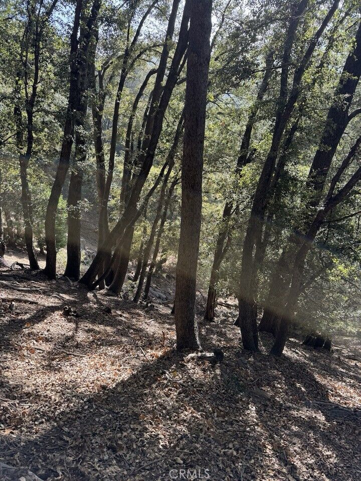 Property Photo:  0 343-061-27-000  CA 92322 