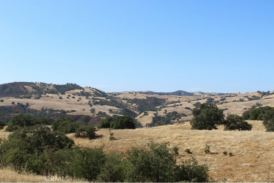 Property Photo:  71902 Vineyard Canyon Road  CA 93451 