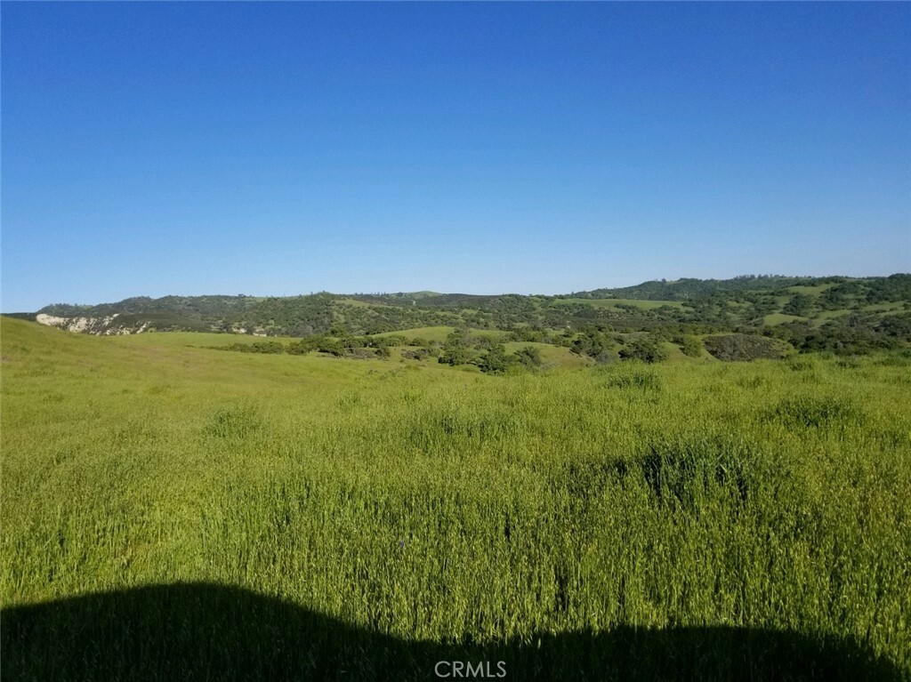 Property Photo:  71901 Vineyard Canyon Road  CA 93451 