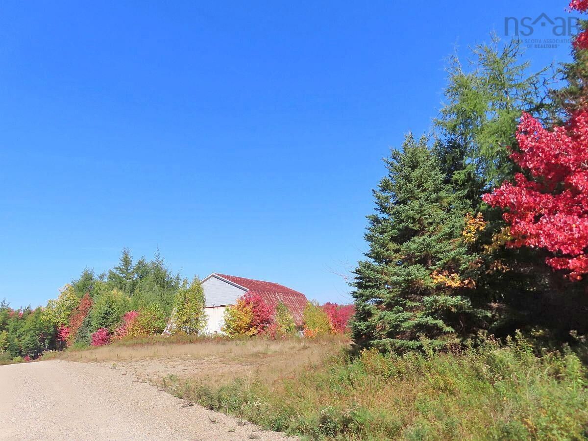 Property Photo:  62 Acres West Side Road  NS B0H 1J0 