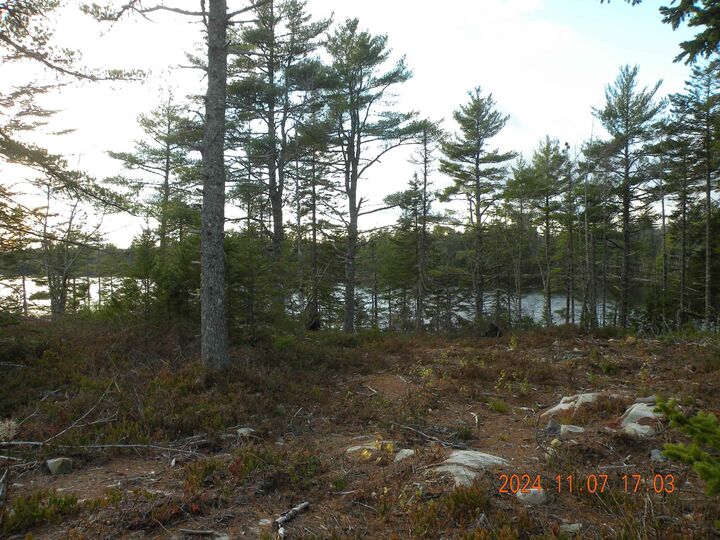 74 Meek Arm Trail — photo 1
