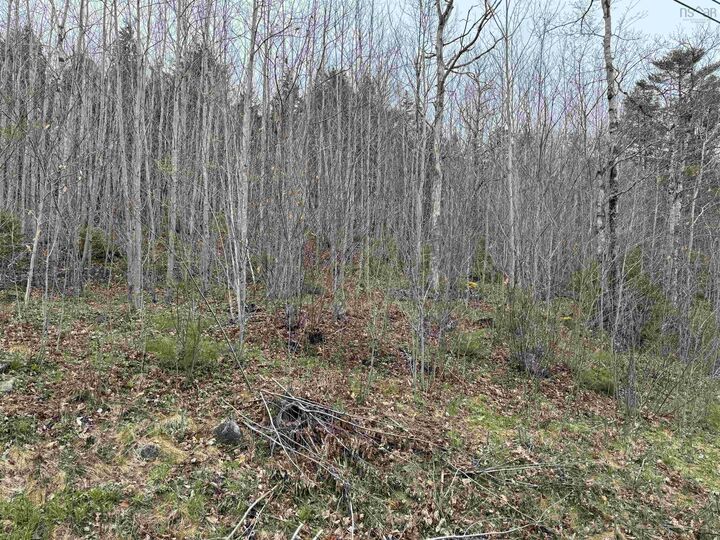 Property Photo:  Lot 5 Highway 10  NS B0R 1E0 