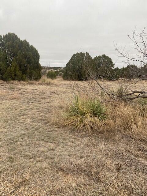 305 Lake Ridge Road  Canyon TX 79015-6900 photo