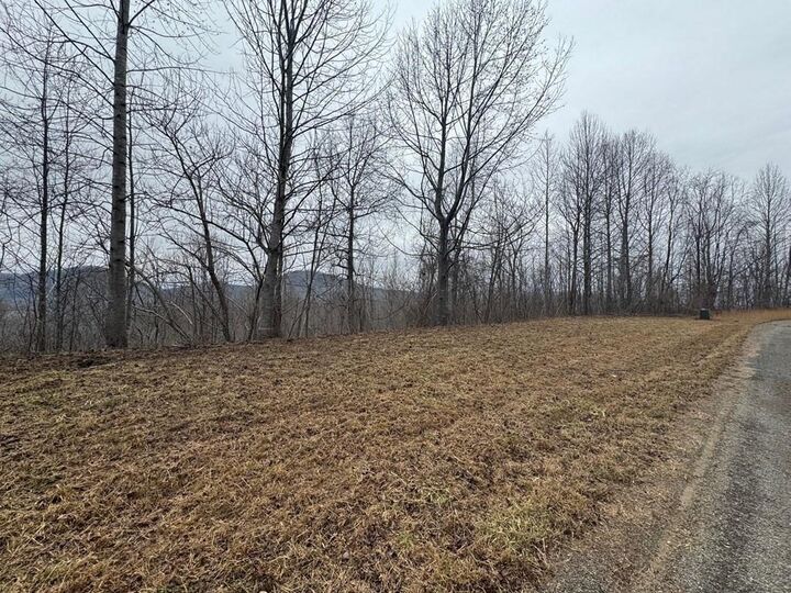 Property Photo: Lot 10 Chatuge Manor GA 30582