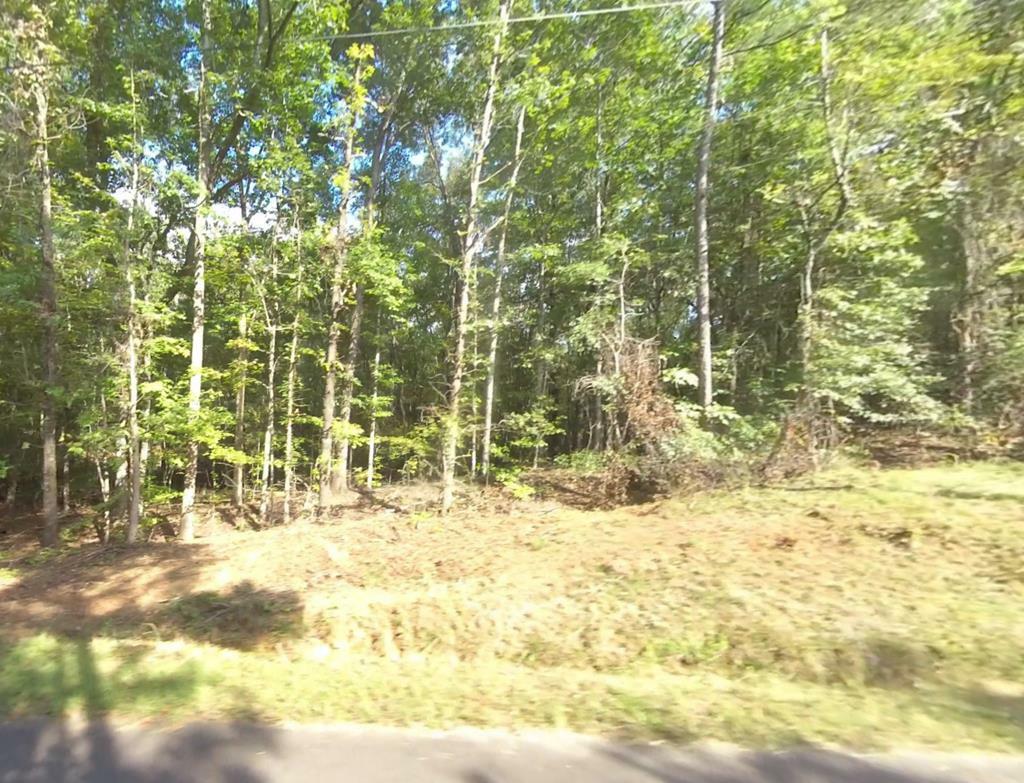 Block 21 Lot 01 Juniper Trail  Waverly Hall GA 31818 photo