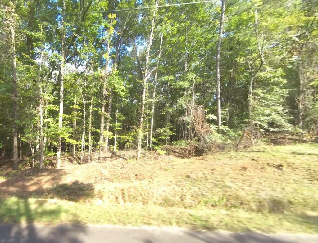 Property Photo: Block 21 Lot 01 Juniper Trail GA 31831