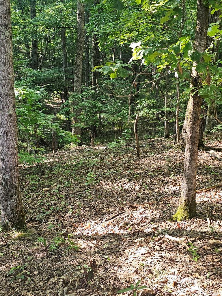 Property Photo:  Block 21 Lot 01 Juniper Trail  GA 31831 
