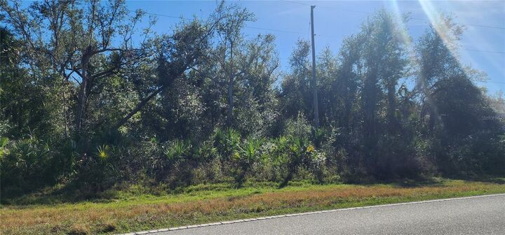 Property Photo:  1173 Biscayne Drive  FL 33953