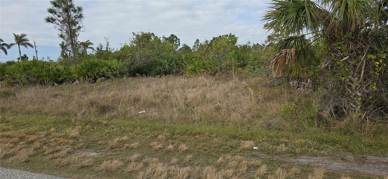 Property Photo:  8389 Agate Street  FL 33981 