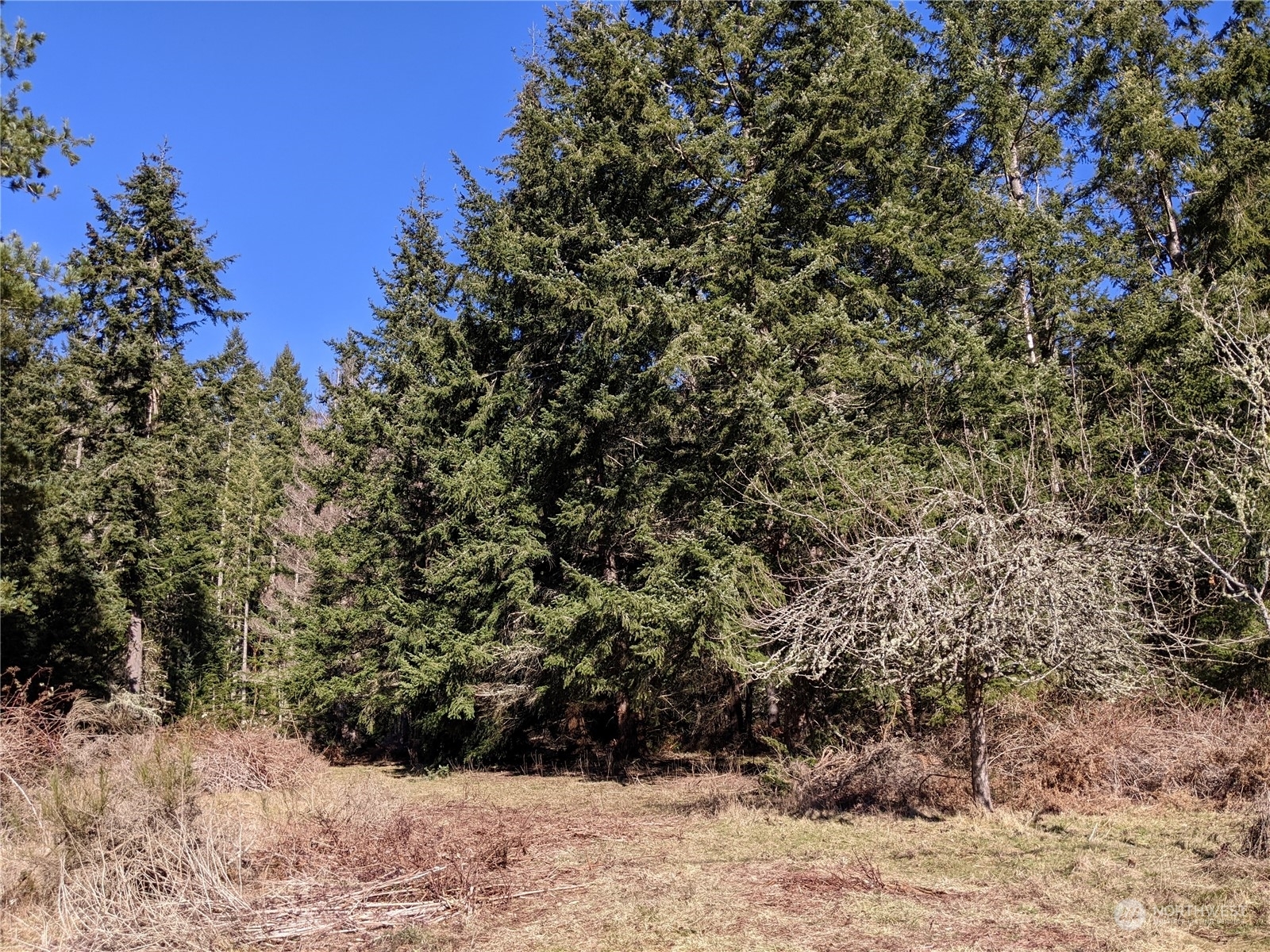 Property Photo:  0  Andreason Road  WA 98260 