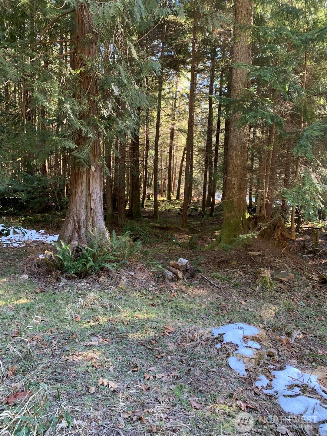 Property Photo:  47 Xx  250th Avenue SE  WA 98029 