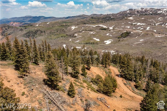 950 Yankee Lookout  Brian Head UT 84719 photo