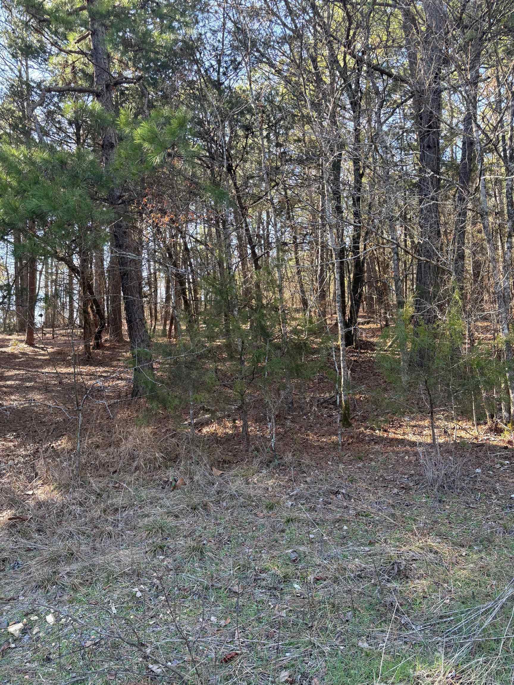 Property Photo: Tbd Pirate Drive AR 71913