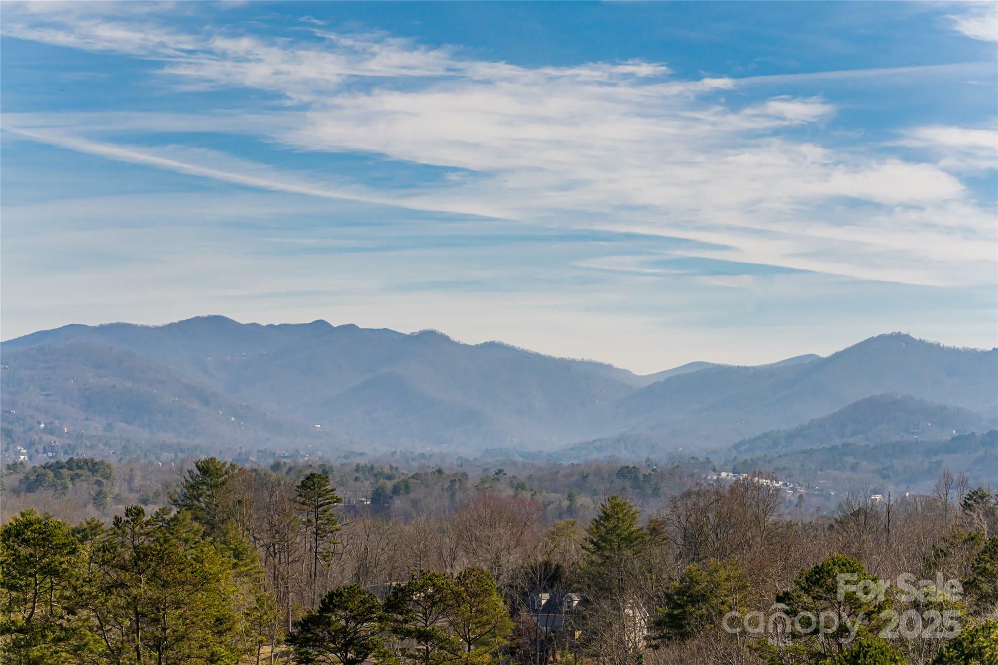 Property Photo:  15 Magnolia Hill Court  NC 28806 