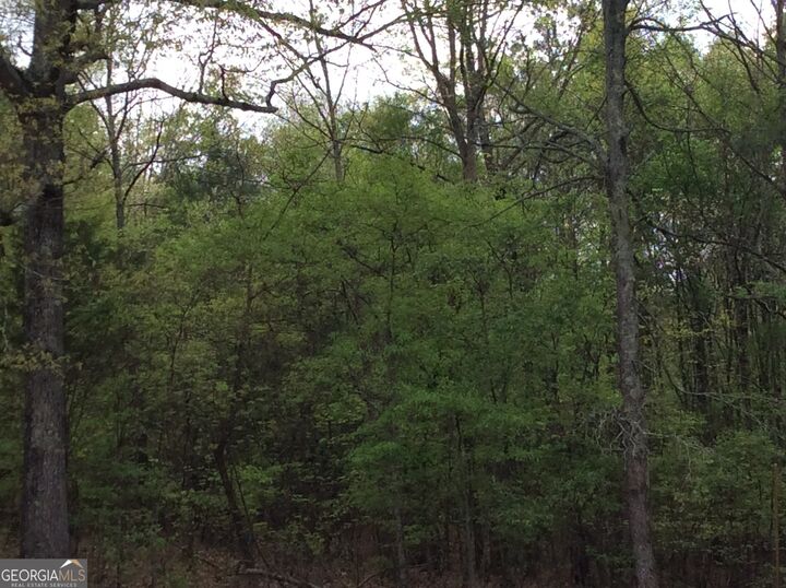 2468 Rockbridge Road NW Lot 17  Conyers GA 30012 photo