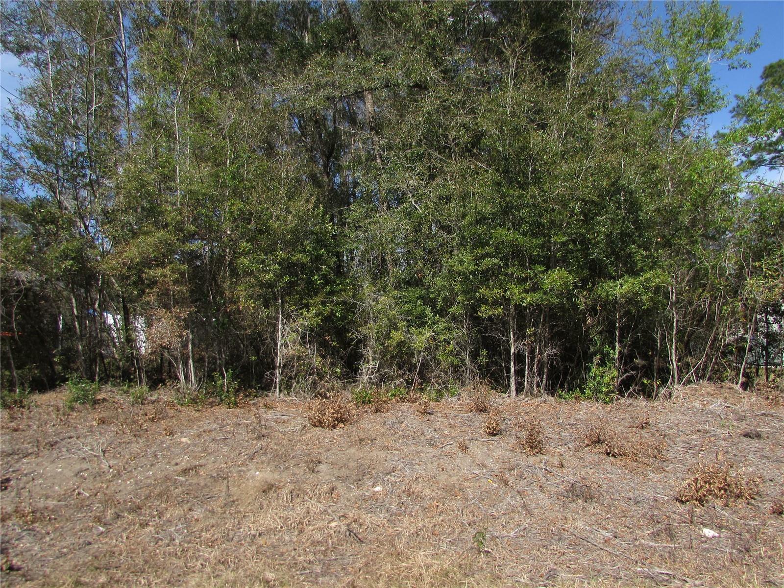 Property Photo:  Lot 32 SW Robin Drive  FL 34431 