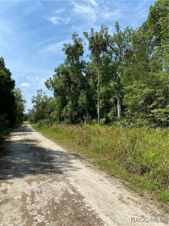 Property Photo:  545 S Winterset Avenue  FL 34429 