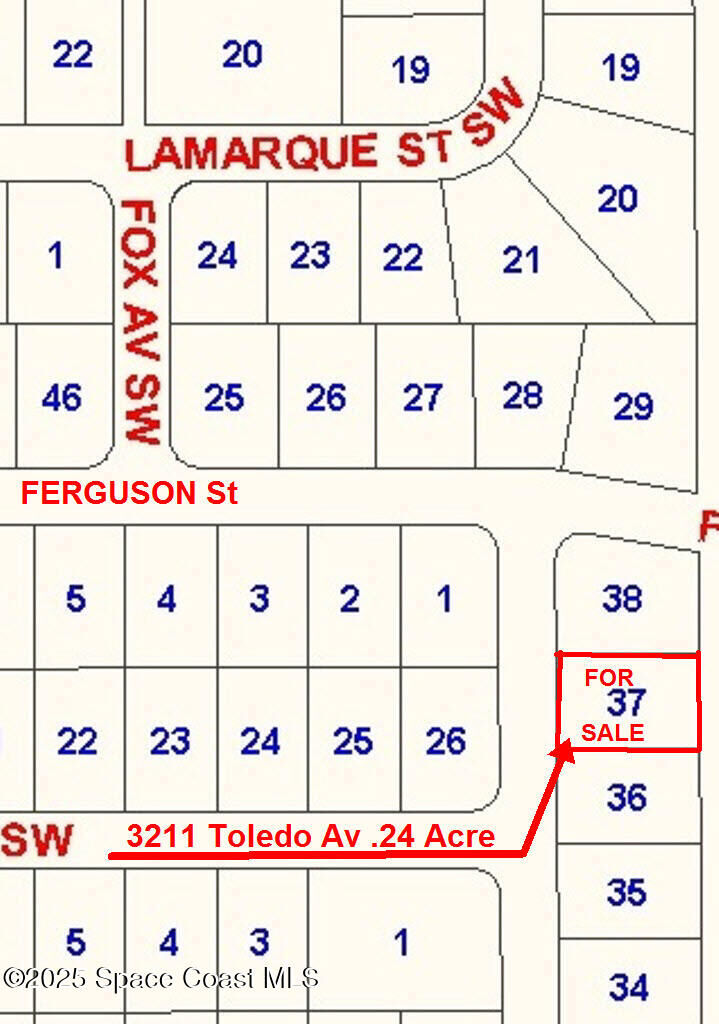 3211 Toledo Avenue SW  Palm Bay FL 32908 photo