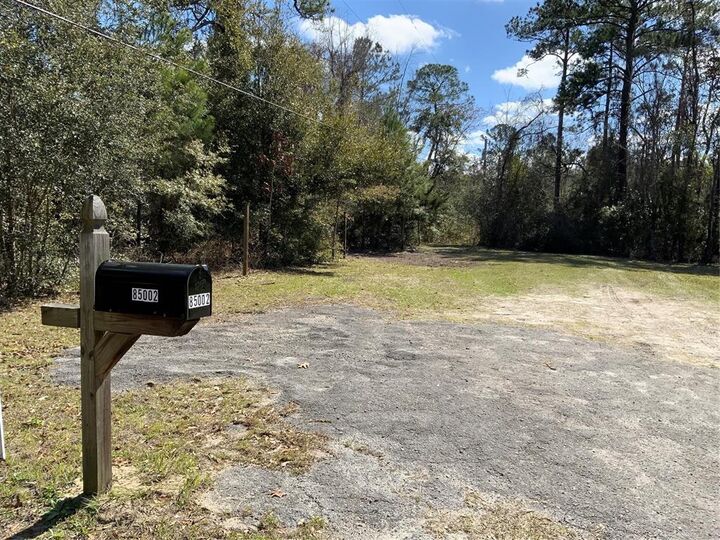 85002 Lonnie Crews Road  Fernandina Beach FL 32034 photo