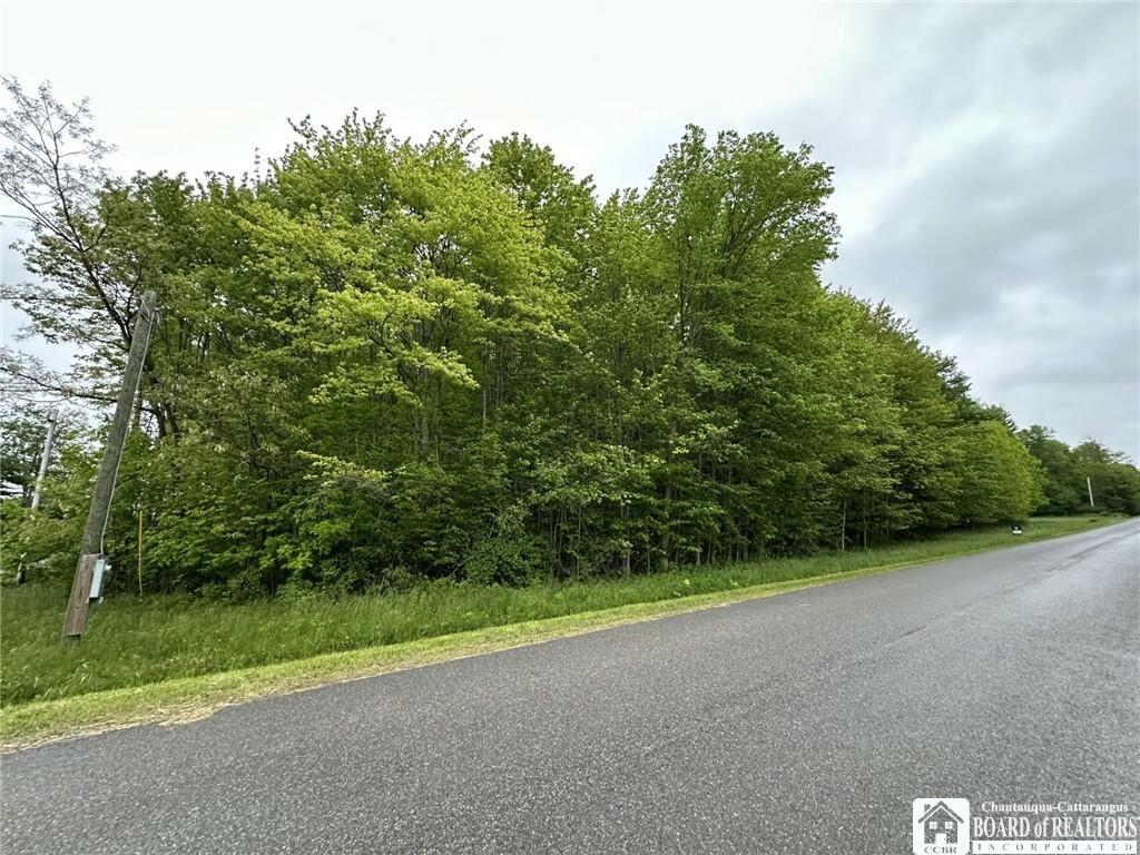 Property Photo:  583 Prosser Hill Road  NY 14701 