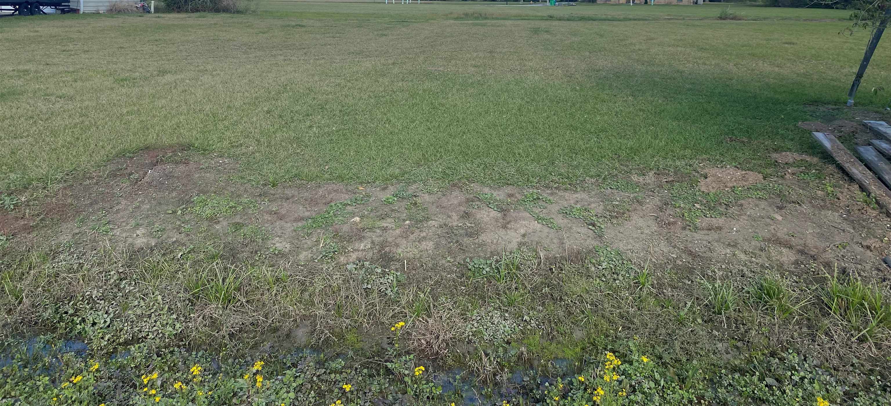 Property Photo: Lot 14 Roy St LA 70393